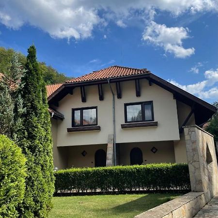 Вила 11 - семейна почивка в сърцето на Балкана Рибарица Екстериор снимка