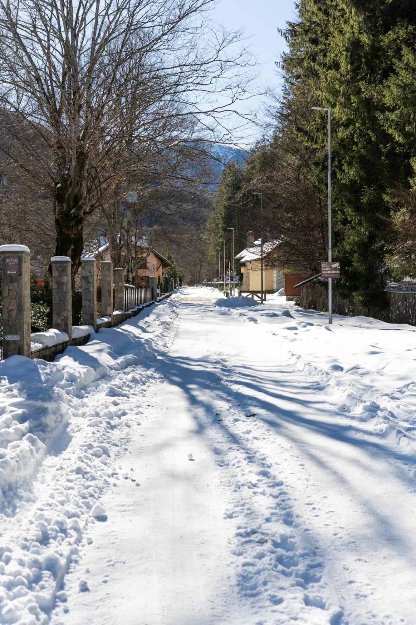 Вила 11 - семейна почивка в сърцето на Балкана Рибарица Екстериор снимка